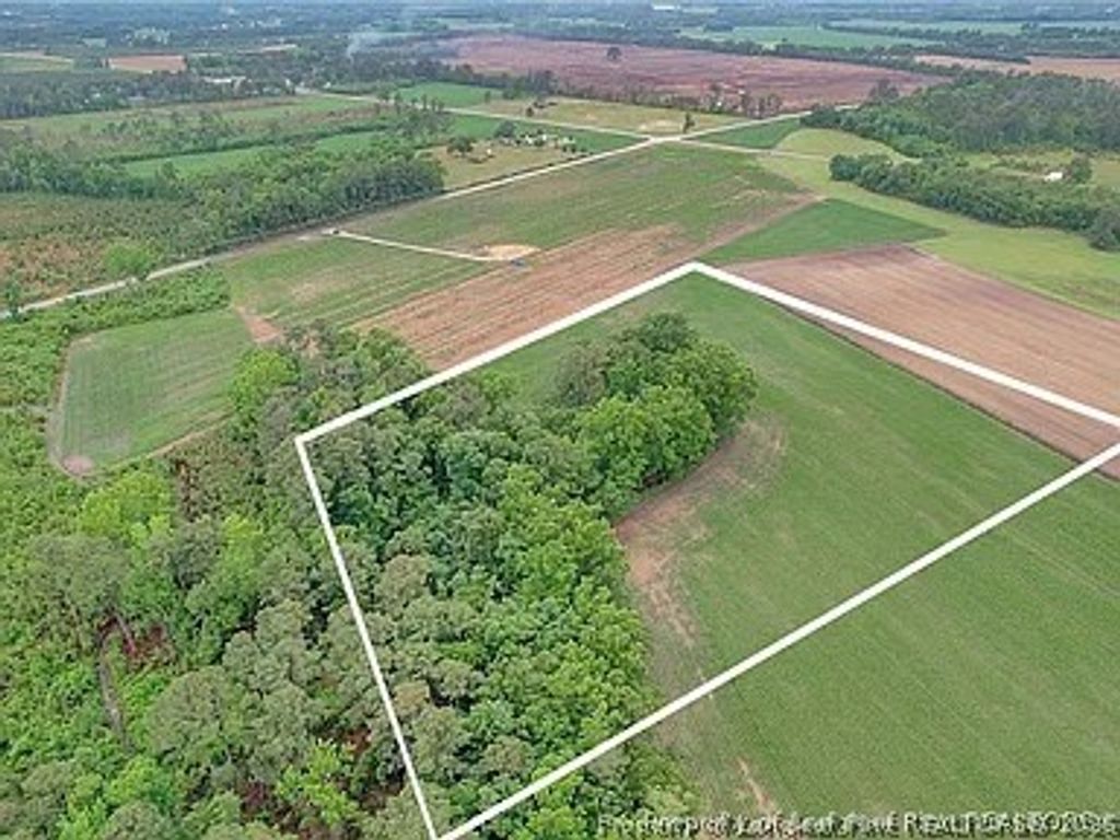 Lot 9 Buie Philadelphus Road, Red Springs, NC 28377 — photo 2