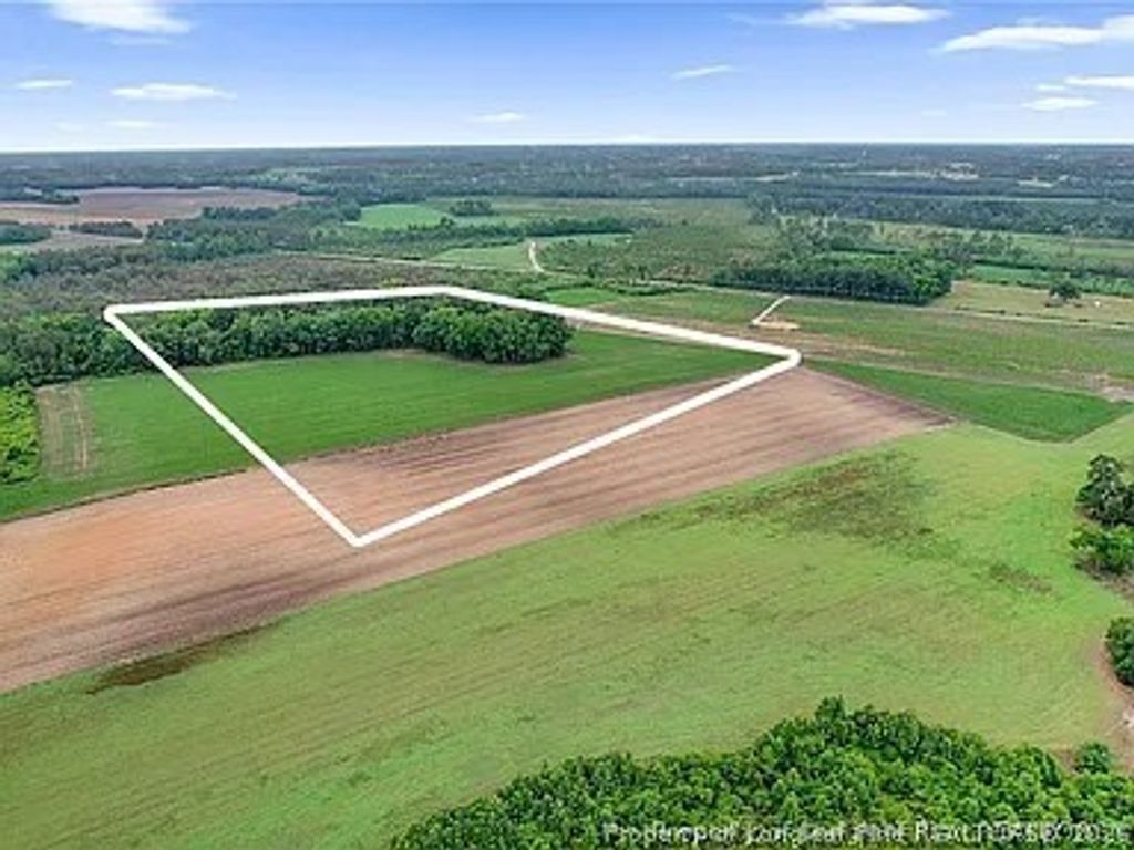 Lot 9 Buie Philadelphus Road, Red Springs, NC 28377 — photo 3