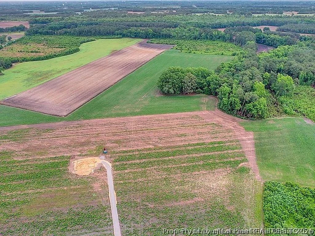 Lot 9 Buie Philadelphus Road, Red Springs, NC 28377 — photo 5