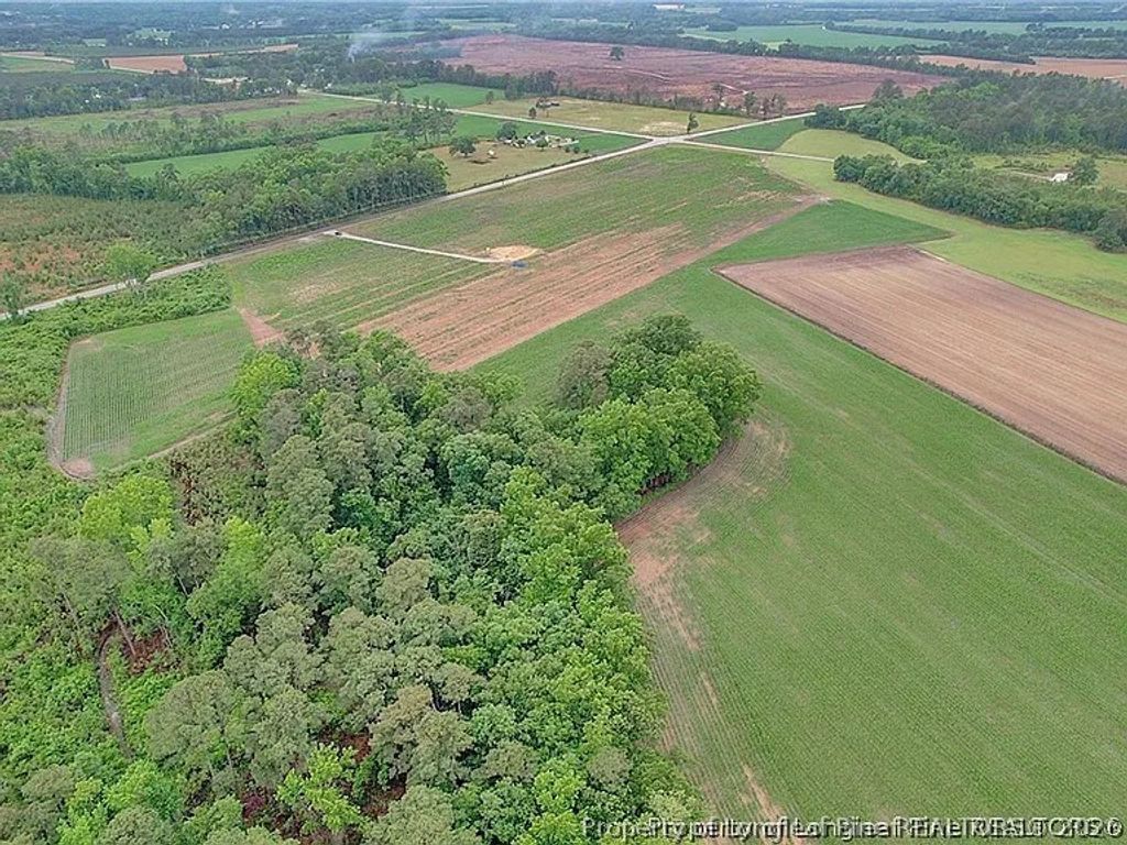 Lot 9 Buie Philadelphus Road, Red Springs, NC 28377 — photo 6