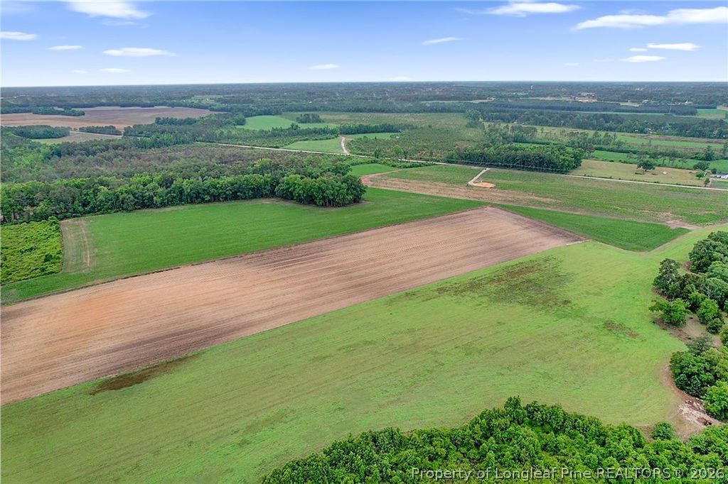 Lot 9 Buie Philadelphus Road, Red Springs, NC 28377 — photo 8