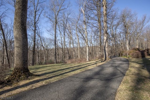 131 Post Kunhardt Rd, Bernardsville Boro, NJ 07924