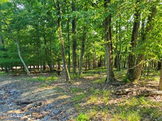 1324 Muskogee Drive, Mooresburg, TN 37811