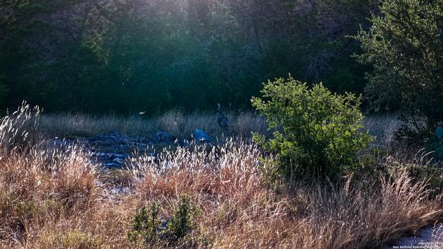 510 Pr 2535, Mico, TX 78056