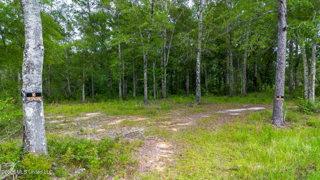 17465 Nobles Road, Saucier, MS 39574