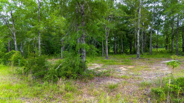 17465 Nobles Road, Saucier, MS 39574