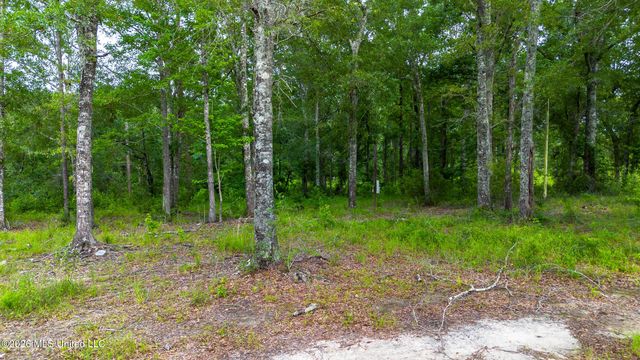 17465 Nobles Road, Saucier, MS 39574