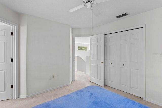 17716 NATHANS DRIVE, Tampa, FL 33647