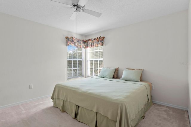 17716 NATHANS DRIVE, Tampa, FL 33647