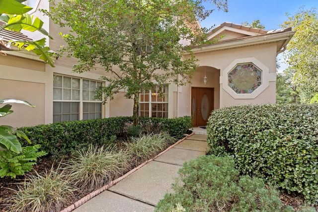 17716 NATHANS DRIVE, Tampa, FL 33647