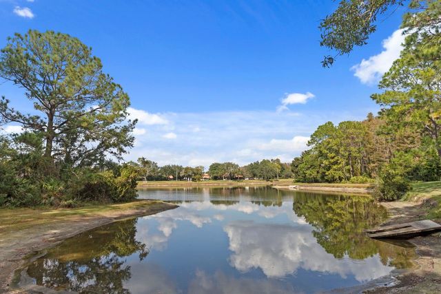 17716 NATHANS DRIVE, Tampa, FL 33647