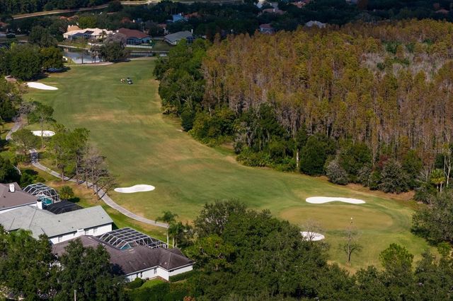 17716 NATHANS DRIVE, Tampa, FL 33647