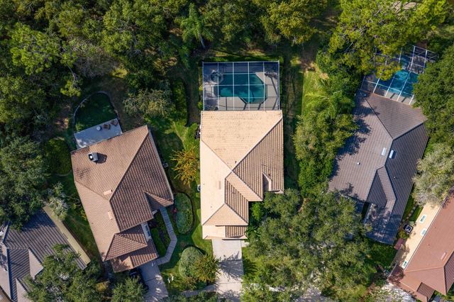 17716 NATHANS DRIVE, Tampa, FL 33647