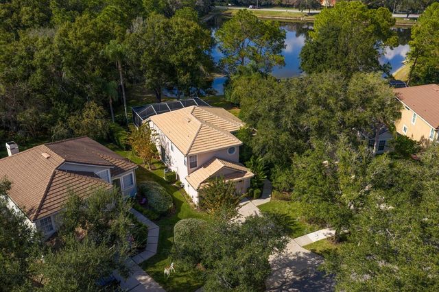 17716 NATHANS DRIVE, Tampa, FL 33647