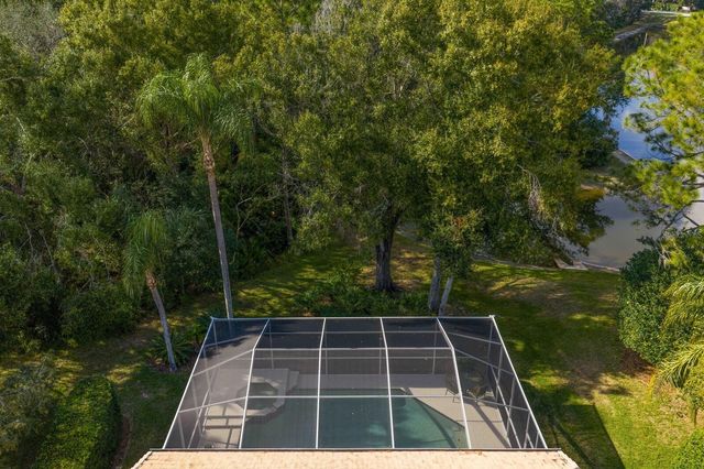 17716 NATHANS DRIVE, Tampa, FL 33647