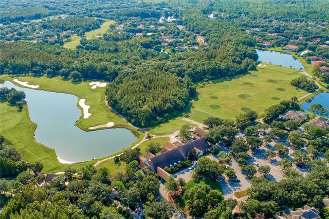 17716 NATHANS DRIVE, Tampa, FL 33647