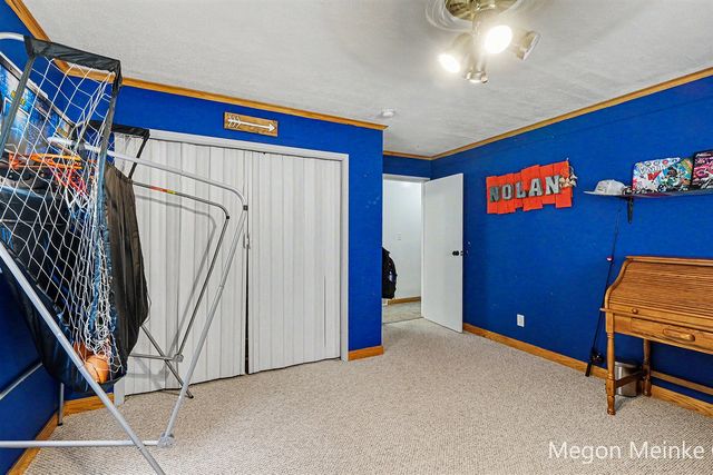 10231 Morgan Mills Road, Greenville, MI 48838