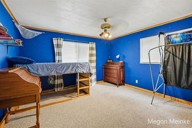 10231 Morgan Mills Road, Greenville, MI 48838
