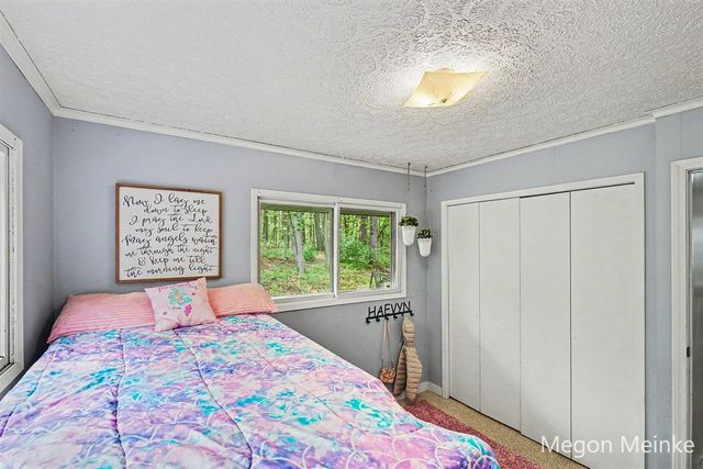 10231 Morgan Mills Road, Greenville, MI 48838