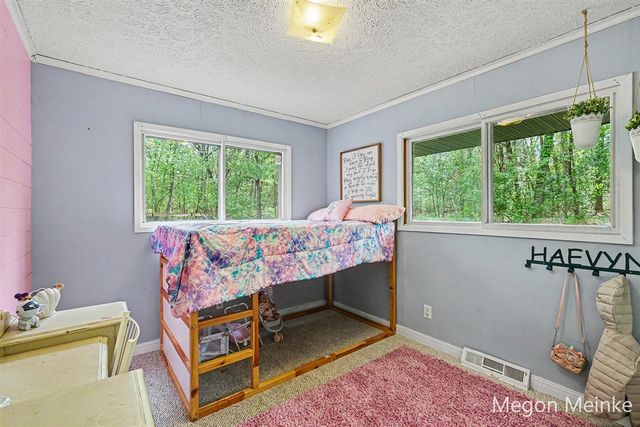10231 Morgan Mills Road, Greenville, MI 48838