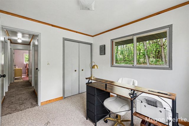 10231 Morgan Mills Road, Greenville, MI 48838