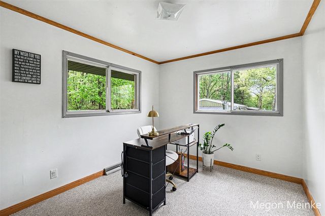 10231 Morgan Mills Road, Greenville, MI 48838