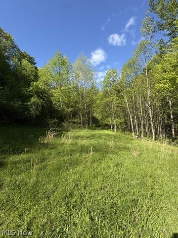 2934 Henderson School Road NE, New Philadelphia, OH 44663