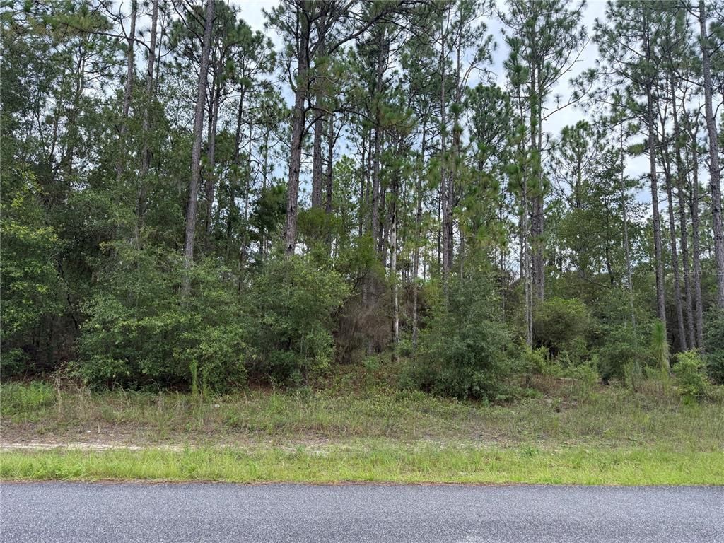 1675 W DONNER DRIVE, Citrus Springs, FL 34434