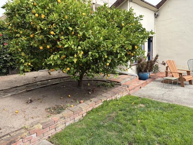 541 & 539 W Franklin Street, Monterey, CA 93940