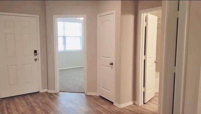 14207 Glacier Bay Ct Court, Conroe, TX 77384