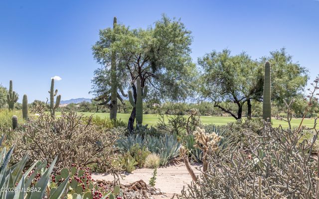 12996 N Burrobush Loop, Marana, AZ 85658