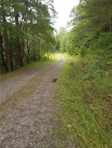 714 Pleasant Valley Road, Sherburne, NY 13460