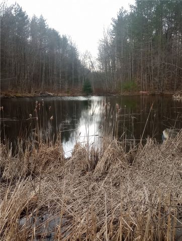 714 Pleasant Valley Road, Sherburne, NY 13460