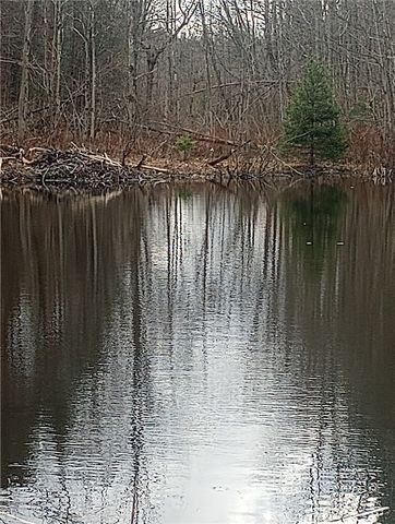 714 Pleasant Valley Road, Sherburne, NY 13460