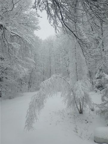 714 Pleasant Valley Road, Sherburne, NY 13460