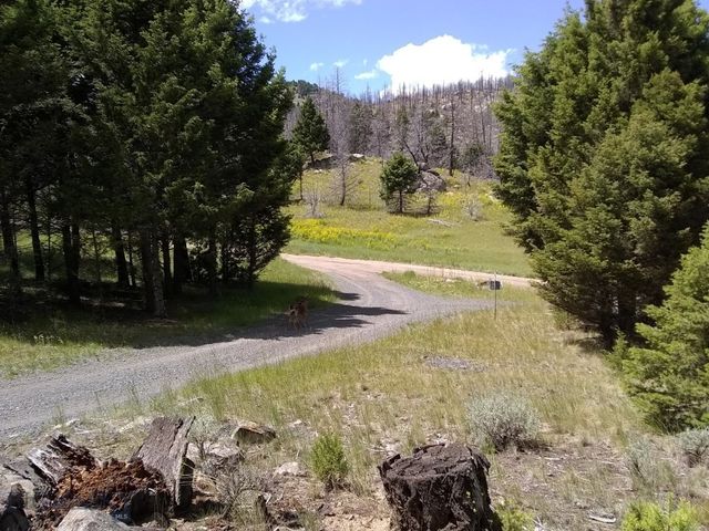 16 Friendspring, Whitehall, MT 59759