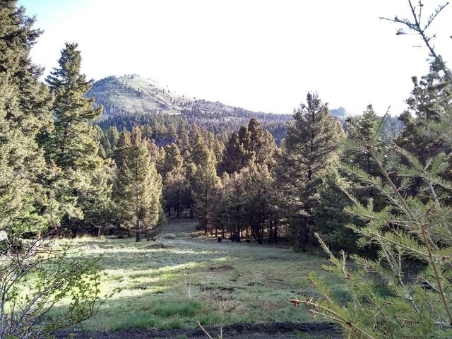 16 Friendspring, Whitehall, MT 59759