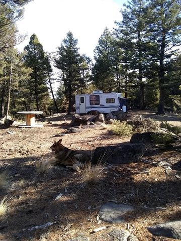 16 Friendspring, Whitehall, MT 59759