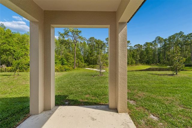 10065 GENTLE RAIN DRIVE, Land O Lakes, FL 34638