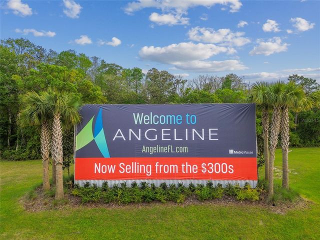 10065 GENTLE RAIN DRIVE, Land O Lakes, FL 34638