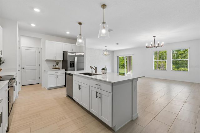 10065 GENTLE RAIN DRIVE, Land O Lakes, FL 34638