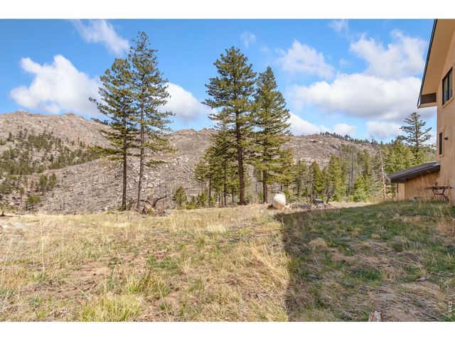 520 Isaac Ln, Bellvue, CO 80512
