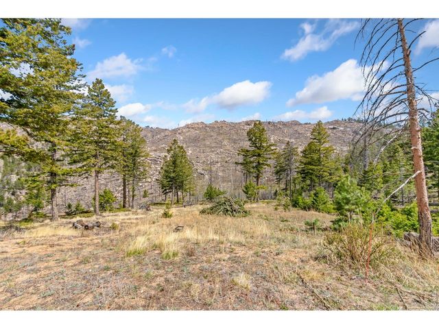520 Isaac Ln, Bellvue, CO 80512