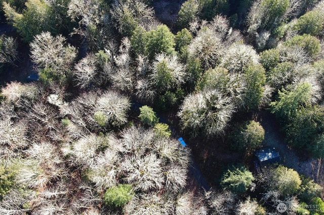 12280 Center Road, Quilcene, WA 98376