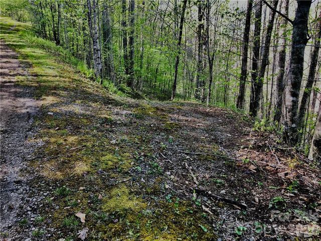 99 &57 Fern Hill Drive, Mars Hill, NC 28754