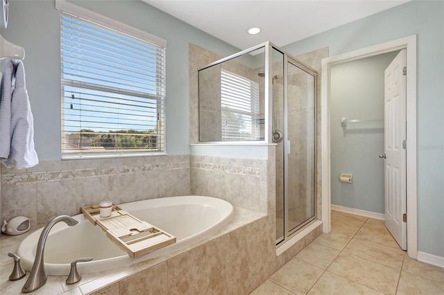 17419 NEW CROSS CIRCLE, Lithia, FL 33547