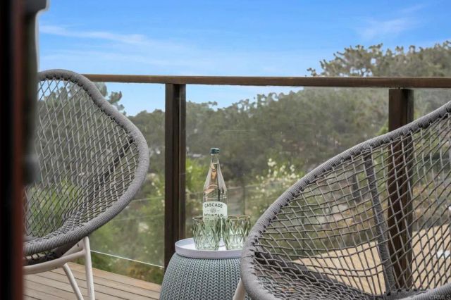 280 Torrey Pines Terrace, Del Mar, CA 92014