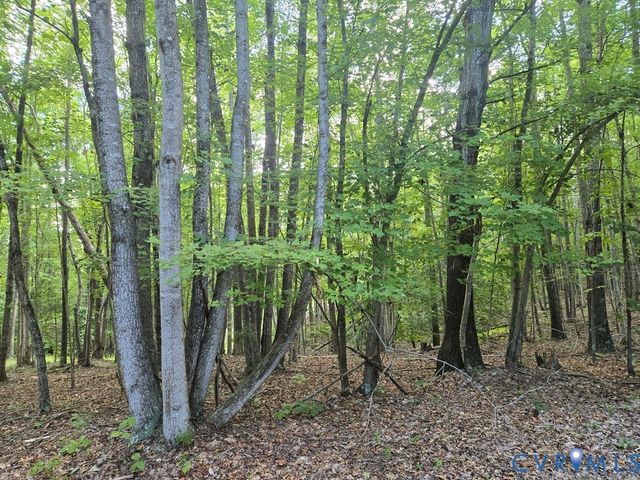 906 Equestrian Trail Rd, New Canton, VA 23123