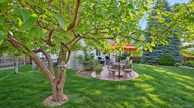 8450 Candleflower Circle, Colorado Springs, CO 80920