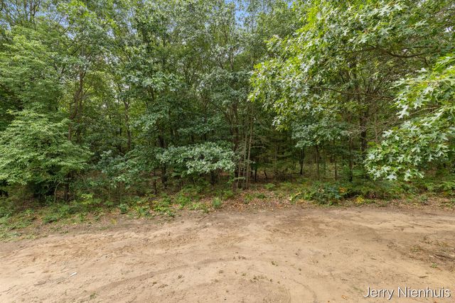 5846 113th Avenue, Clyde Twp, MI 49450